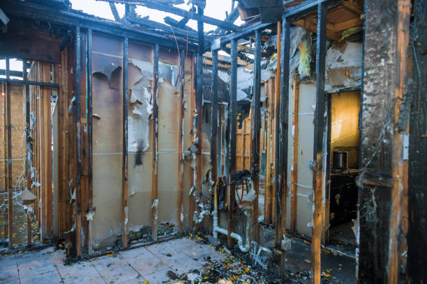 Professional Fire Damage Assessment technician working in Windsor, CO